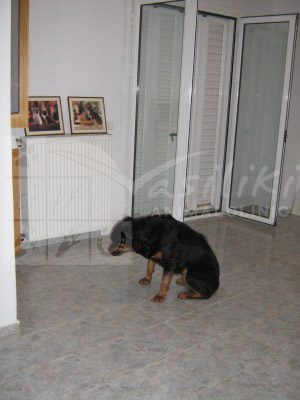 waiting room before8